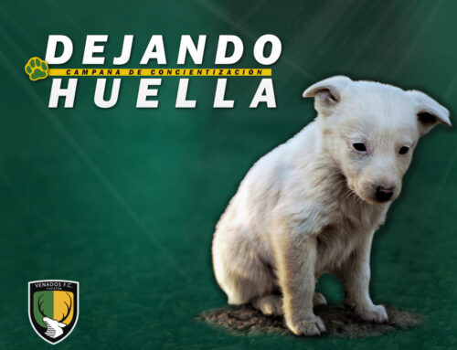 VENADOS DEJA HUELLA EN ANIMALITOS ABANDONADOS