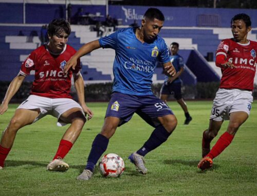 Los Tiburones caen en el Caribe Mexicano