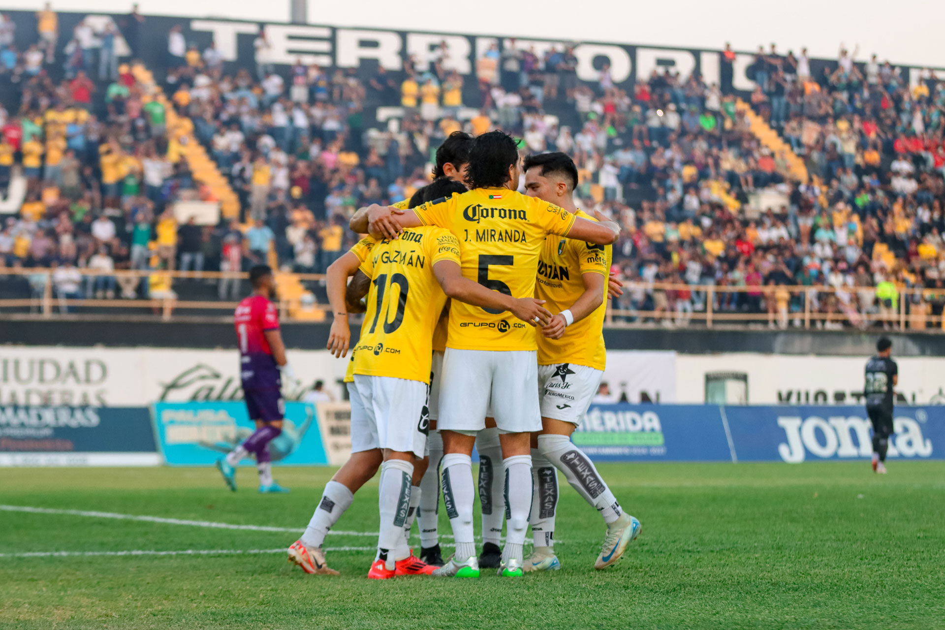 Gol_250425