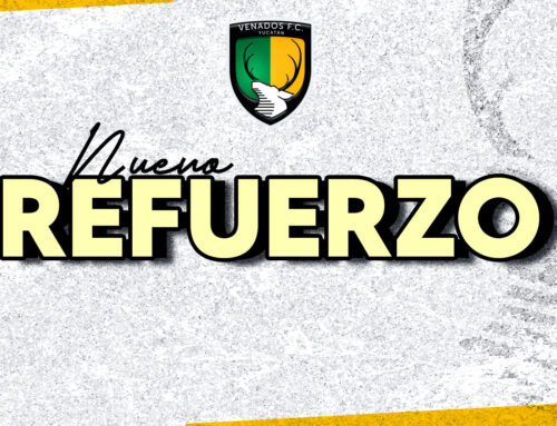 Los primeros refuerzos llegan a Venados F.C.